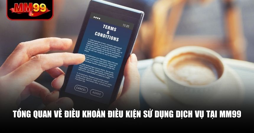 Tổng quan về điều khoản điều kiện sử dụng dịch vụ tại MM99